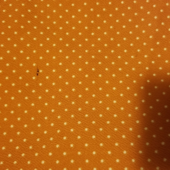 Lularoe cassie skirt pencil style skirt - Picture 3 of 3